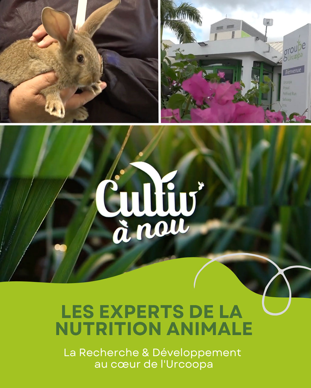 L&rsquo;Urcoopa à l&rsquo;honneur dans l&rsquo;émission « CULTIV À NOU »
