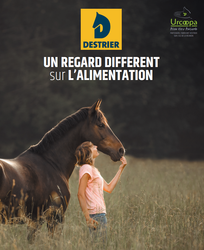 Cheval Destrier
