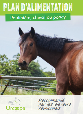 Cheval