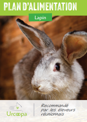Lapin