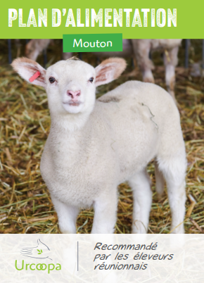 Mouton