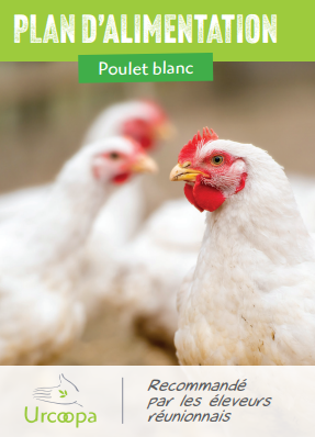 Poulet blanc